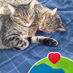 Lois Rupert - Facebook
