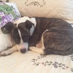Lois Russell - @lois.russell.9822 - Instagram