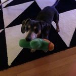 Lois Rust - @rustlois - Instagram