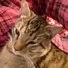 loisyrutledge - @loisyrutledge - TikTok