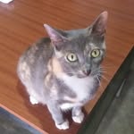 lois sanchez - @hernan_galarza_____ - Instagram