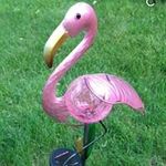Lois Schultz - @ranloschultz - Instagram
