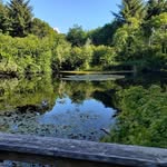 Lois Schultz - @loisschultz52 - Instagram