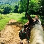 Lois Schultz - @loisschultz72 - Instagram