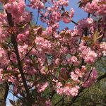Lois Sewell - @spottydog19 - Instagram