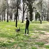 Luis Siegrist - @luissiegrist - TikTok