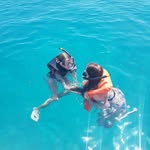 lois howarth - @lois_silky_882 - Instagram
