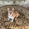 Lois Smith - @lois.smith52 - TikTok