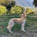 Lois Ann Snyder - Facebook