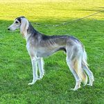 Lois Ann Snyder - @lasaluki - Instagram