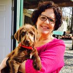 Lois Snyder - @snyderdesigns - Instagram