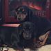 Lois Sparks - Facebook