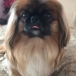 Lois Spearman - @loisspearmandavidraphael - Instagram
