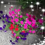 Lois Baer Squires - @__squires____ - Instagram