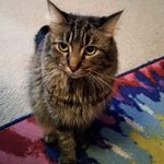Lois Stamper - @loisstamper414 - Instagram