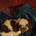 Lois Strange - Facebook