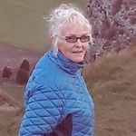 Lois Sutton - @pohutukawa56 - Instagram