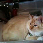 LoisTerry - @loisterry1877 - Instagram