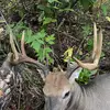 Archery_islife - @archery_islife - TikTok
