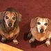 Lois Brentlinger Vick - Facebook