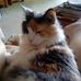 Lois Vickers - Facebook