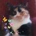 Lois Wagner - Facebook
