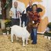 Lois Walker - Facebook