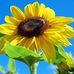Lois Walters - Facebook