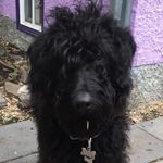lorten - @lois_walters_mom - Instagram