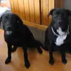 loisweinstein861 - @loisweinstein861 - TikTok