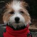 Lois Wolf - Facebook