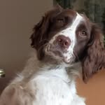 Lois Wright - @nightshift3378 - Instagram