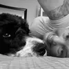 melissaabbott_lolalue - @melissaabbott_lolalue - TikTok