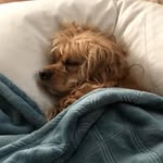 @ariesandlola - Instagram