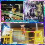 LOLA, POPPY, AND ARIES - @jumping.3.dogs - Instagram