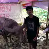 Arnoldus Lola' - @arnoldus.lola2 - TikTok