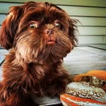 Lola Belle Arnold - @lil.lola.belle - Instagram