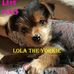 Lola Arthur - Facebook