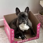 Lola Bell - Facebook