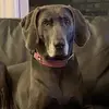 JJ - @lola.biggs - TikTok