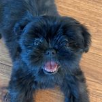 Lola Bishop - @lolabearbish - Instagram