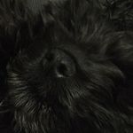 Lola Bishop - @lola_bishop1 - Instagram