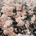 Lola Bishop - @lolahere00 - Instagram