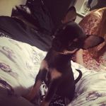 Lola Bishop - @lolabishop635 - Instagram