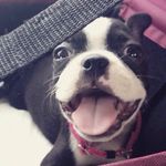 Lola Boyd - @lolatheboss10 - Instagram