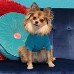 Lola Boyd - @lolalapompom - Instagram