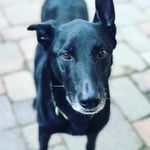 Lola Boyd - @lola_gourgeous - Instagram