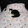 lola - @lolabrito78 - TikTok