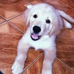 lola maia de brito - @lola_maia_de_brito - Instagram