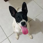 Lola Maria Moura de Brito - @lolamariamb - Instagram